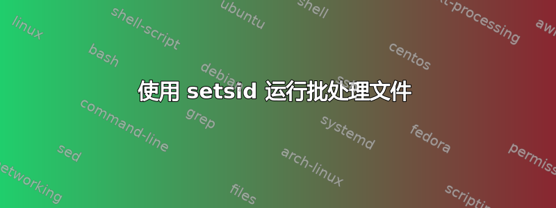 使用 setsid 运行批处理文件