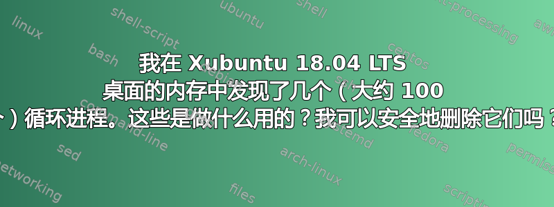 我在 Xubuntu 18.04 LTS 桌面的内存中发现了几个（大约 100 个）循环进程。这些是做什么用的？我可以安全地删除它们吗？