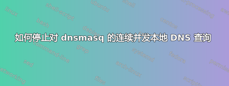 如何停止对 dnsmasq 的连续并发本地 DNS 查询