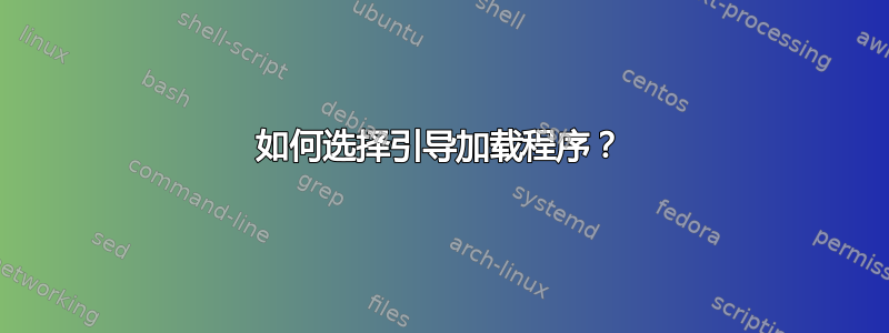 如何选择引导加载程序？