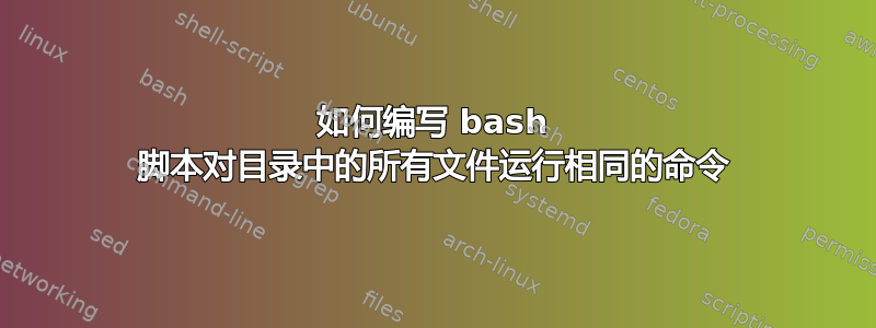 如何编写 bash 脚本对目录中的所有文件运行相同的命令