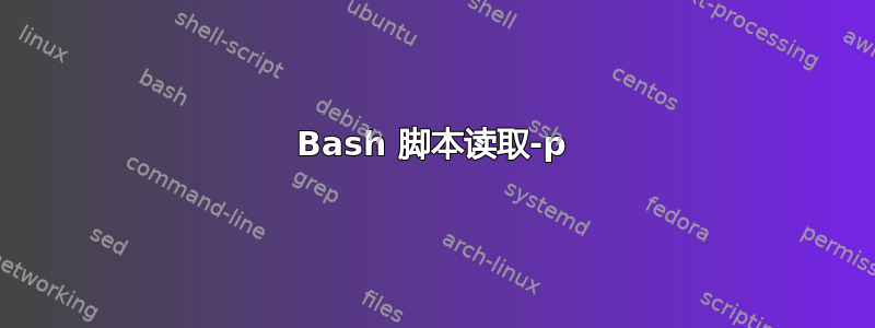 Bash 脚本读取-p