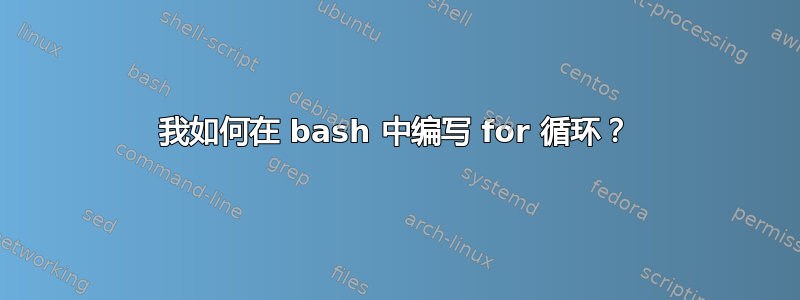 我如何在 bash 中编写 for 循环？