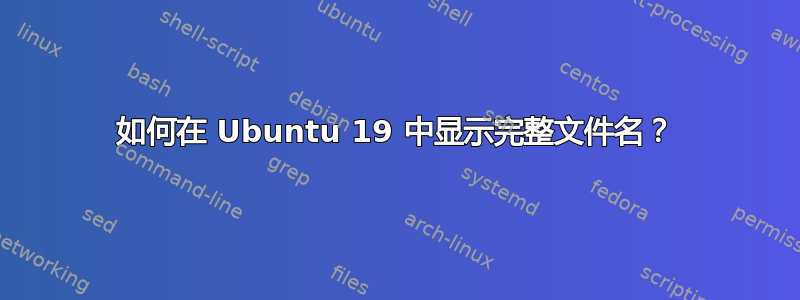 如何在 Ubuntu 19 中显示完整文件名？