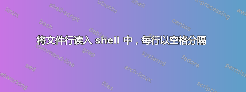 将文件行读入 shell 中，每行以空格分隔