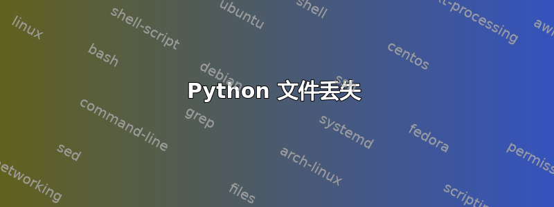 Python 文件丢失