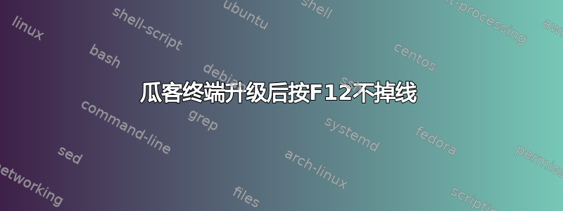 瓜客终端升级后按F12不掉线