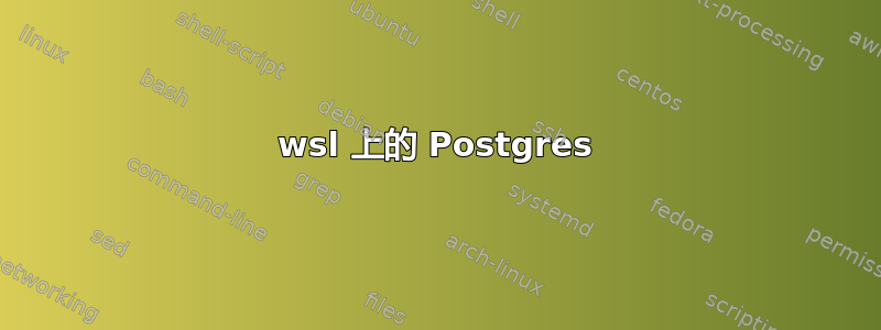 wsl 上的 Postgres