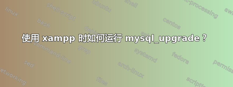 使用 xampp 时如何运行 mysql_upgrade？