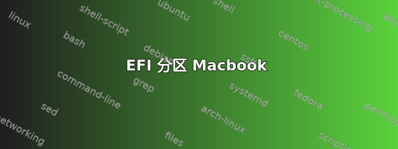 EFI 分区 Macbook