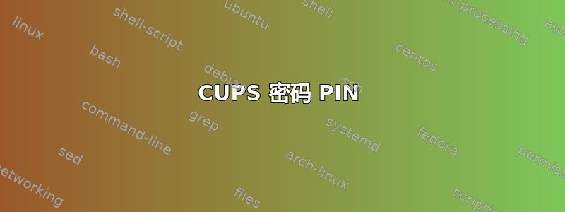 CUPS 密码 PIN