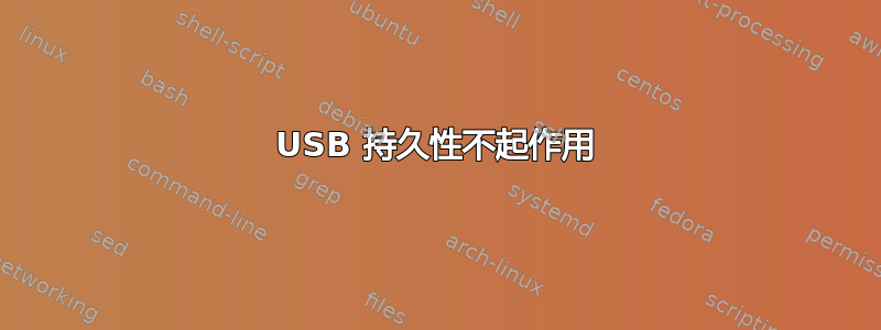 USB 持久性不起作用