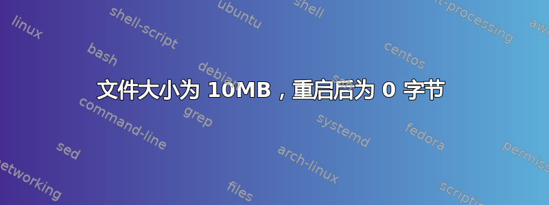 文件大小为 10MB，重启后为 0 字节