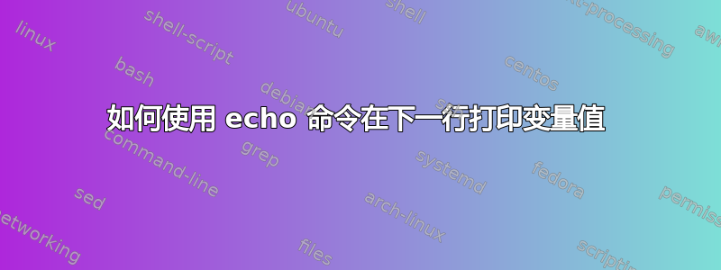 如何使用 echo 命令在下一行打印变量值