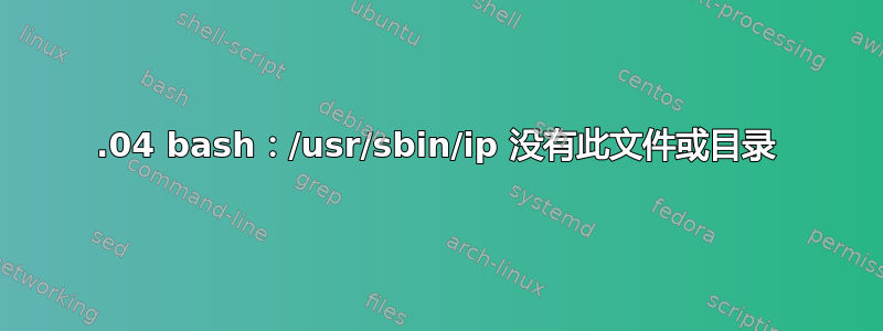 19.04 bash：/usr/sbin/ip 没有此文件或目录