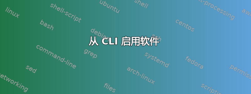 从 CLI 启用软件