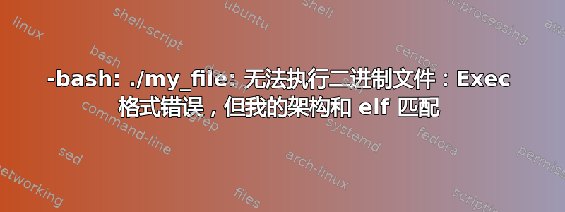 -bash: ./my_file: 无法执行二进制文件：Exec 格式错误，但我的架构和 elf 匹配