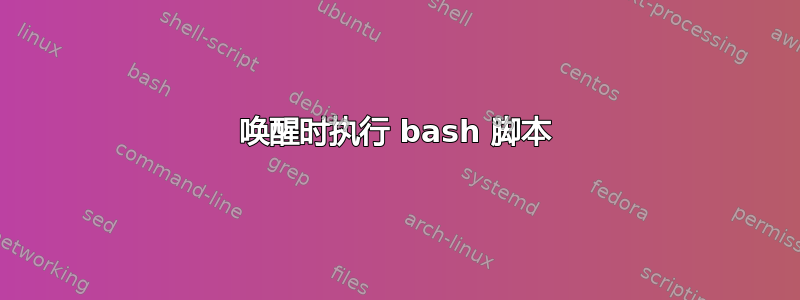 唤醒时执行 bash 脚本