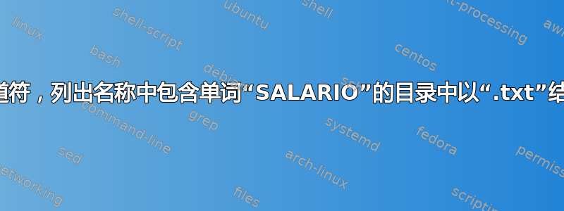 不使用管道符，列出名称中包含单词“SALARIO”的目录中以“.txt”结尾的文件