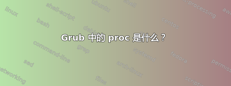 Grub 中的 proc 是什么？