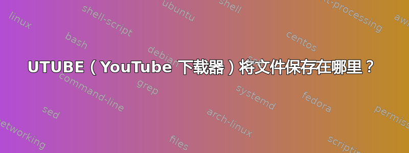 UTUBE（YouTube 下载器）将文件保存在哪里？