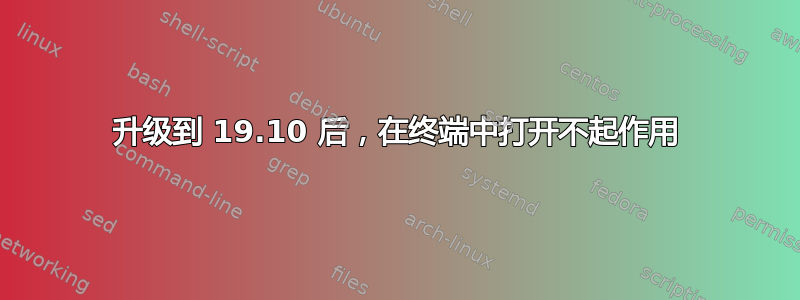 升级到 19.10 后，在终端中打开不起作用