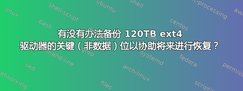 有没有办法备份 120TB ext4 驱动器的关键（非数据）位以协助将来进行恢复？