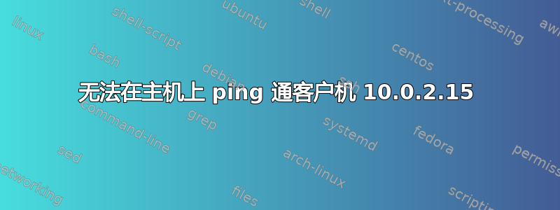 无法在主机上 ping 通客户机 10.0.2.15