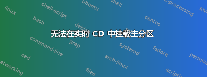 无法在实时 CD 中挂载主分区