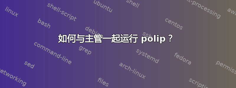 如何与主管一起运行 polip？