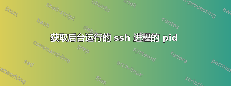 获取后台运行的 ssh 进程的 pid