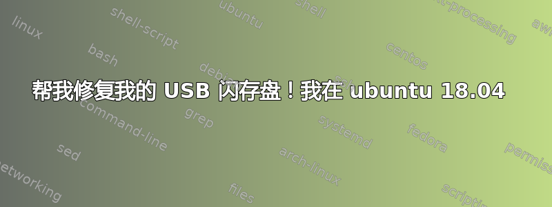 帮我修复我的 USB 闪存盘！我在 ubuntu 18.04 