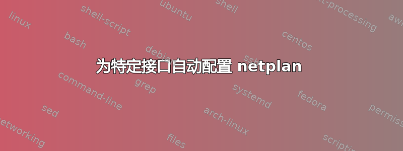 为特定接口自动配置 netplan