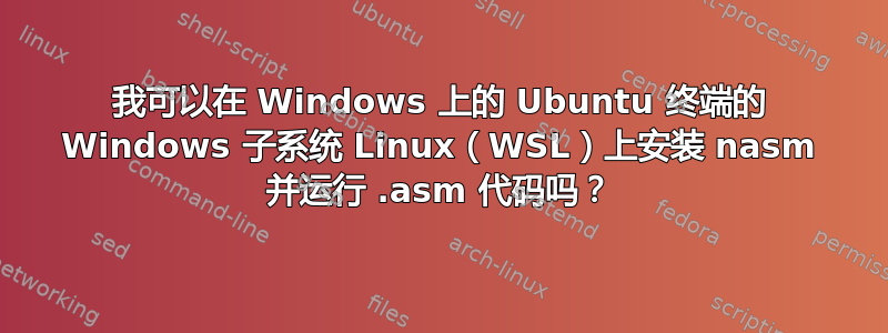 我可以在 Windows 上的 Ubuntu 终端的 Windows 子系统 Linux（WSL）上安装 nasm 并运行 .asm 代码吗？