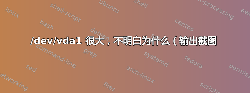 /dev/vda1 很大，不明白为什么（输出截图