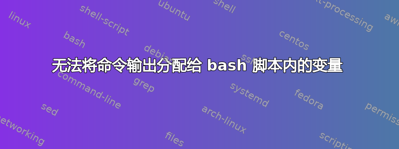 无法将命令输出分配给 bash 脚本内的变量