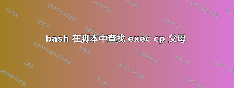 bash 在脚本中查找 exec cp 父母