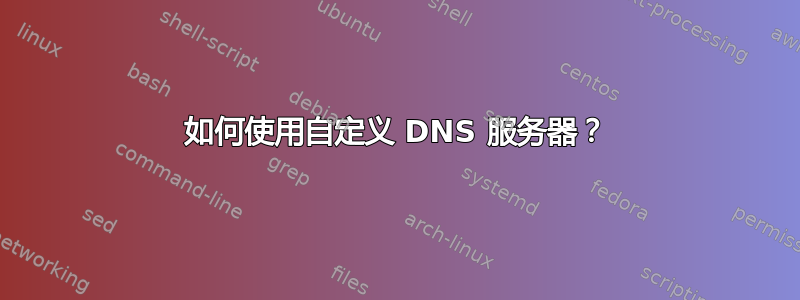 如何使用自定义 DNS 服务器？