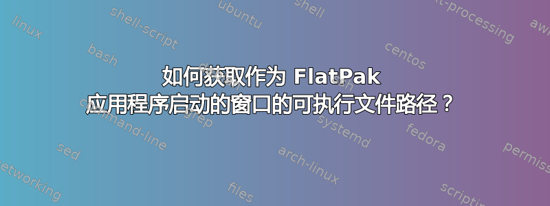 如何获取作为 FlatPak 应用程序启动的窗口的可执行文件路径？