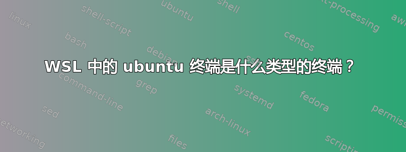 WSL 中的 ubuntu 终端是什么类型的终端？