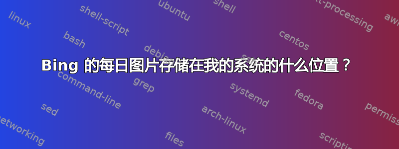 Bing 的每日图片存储在我的系统的什么位置？