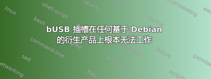 bUSB 插槽在任何基于 Debian 的衍生产品上根本无法工作