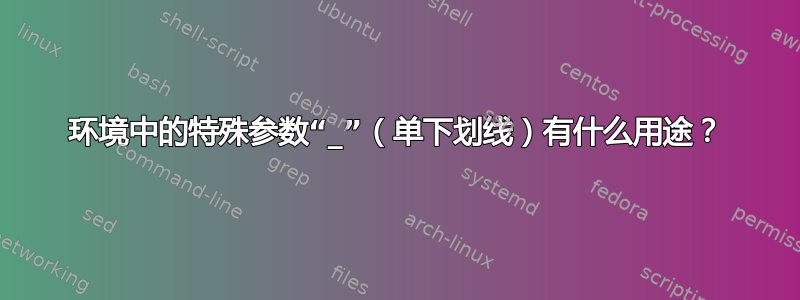 环境中的特殊参数“_”（单下划线）有什么用途？