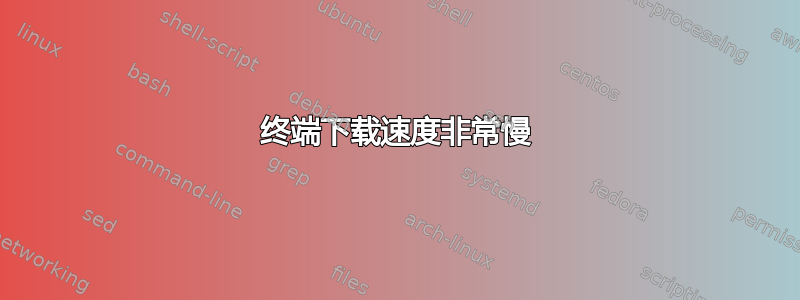 终端下载速度非常慢