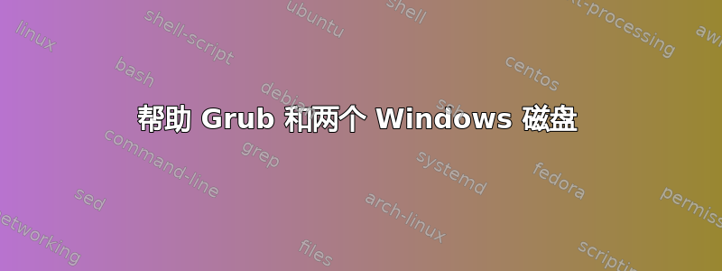 帮助 Grub 和两个 Windows 磁盘