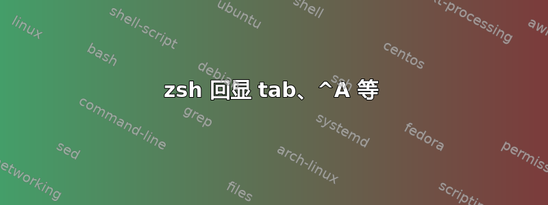 zsh 回显 tab、^A 等