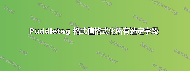 Puddletag 格式值格式化所有选定字段