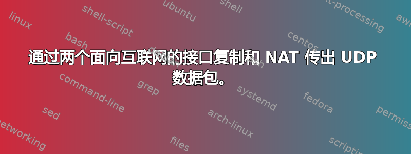 通过两个面向互联网的接口复制和 NAT 传出 UDP 数据包。