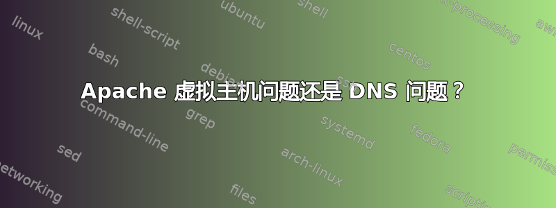 Apache 虚拟主机问题还是 DNS 问题？