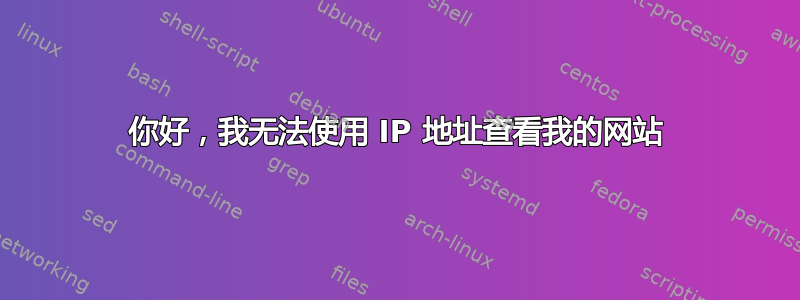 你好，我无法使用 IP 地址查看我的网站